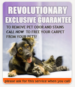 houston-carpet-cleaning.us