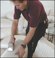 houston carpet cleaning TEXAS