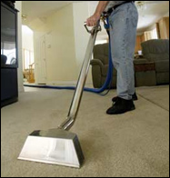 houston carpet cleaning TEXAS