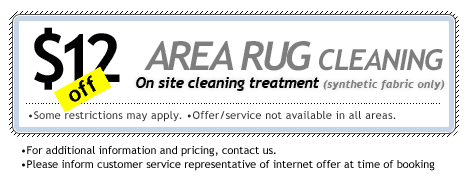 area rug cleaning Houston